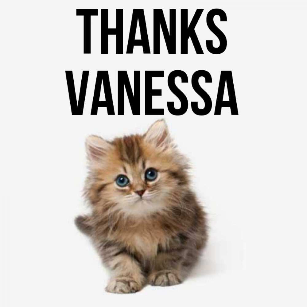 Greetings card с именем, Vanessa Thanks пушистый котик Greetings with text for free download 