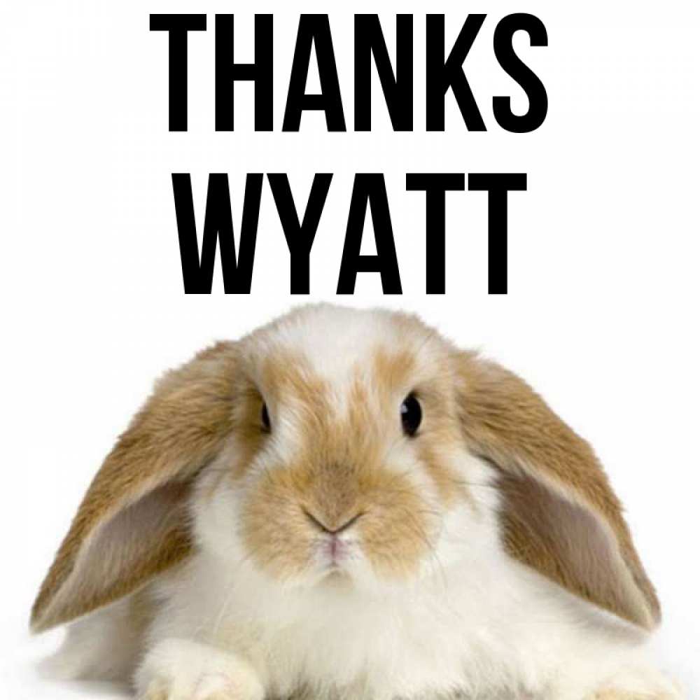 Greetings card с именем, Wyatt Thanks коричнево белый заяц Greetings with text for free download 