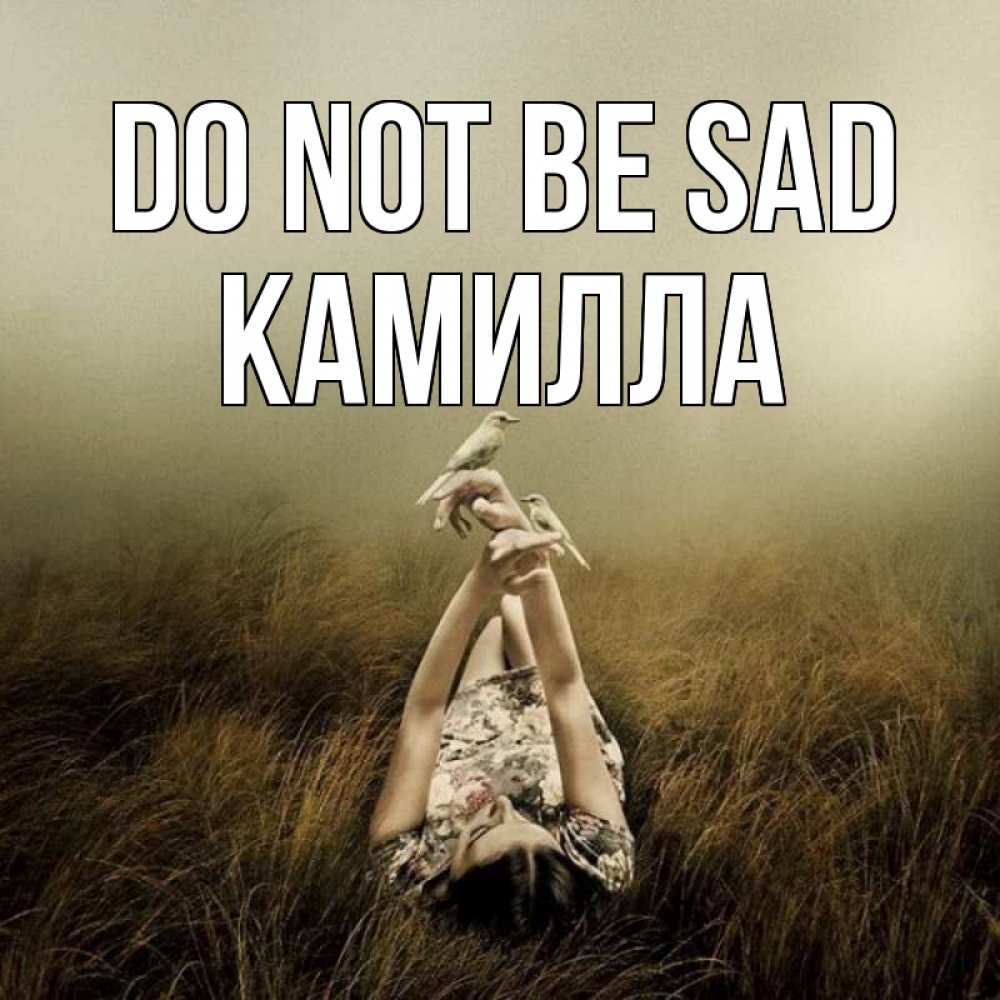 Greetings card с именем, Камилла Do not be sad поле и туман Greetings with text for free download 