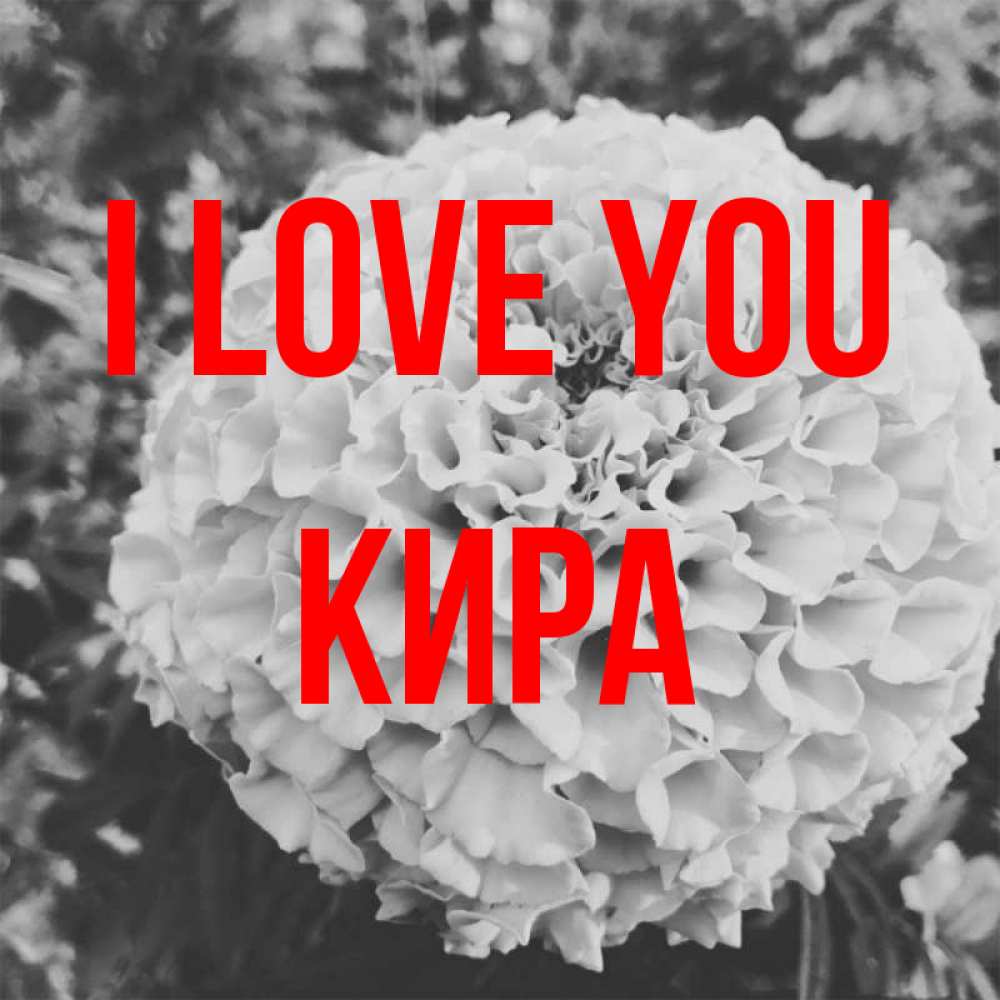 Greetings card с именем, Кира I love you подпись Greetings with text for free download 