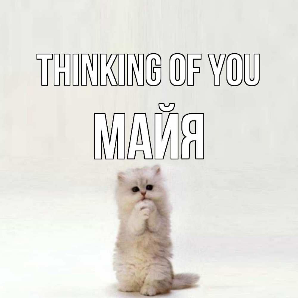 Greetings card с именем, Майя Thinking of you кот стоит на задних лапах Greetings with text for free download 