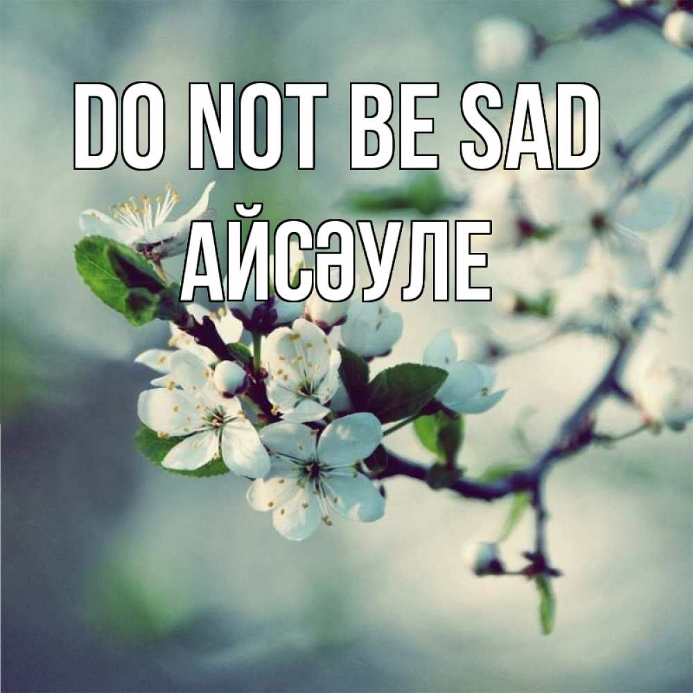 Greetings card с именем, АЙСӘУЛЕ Do not be sad яблоня в цвету 1 Greetings with text for free download 