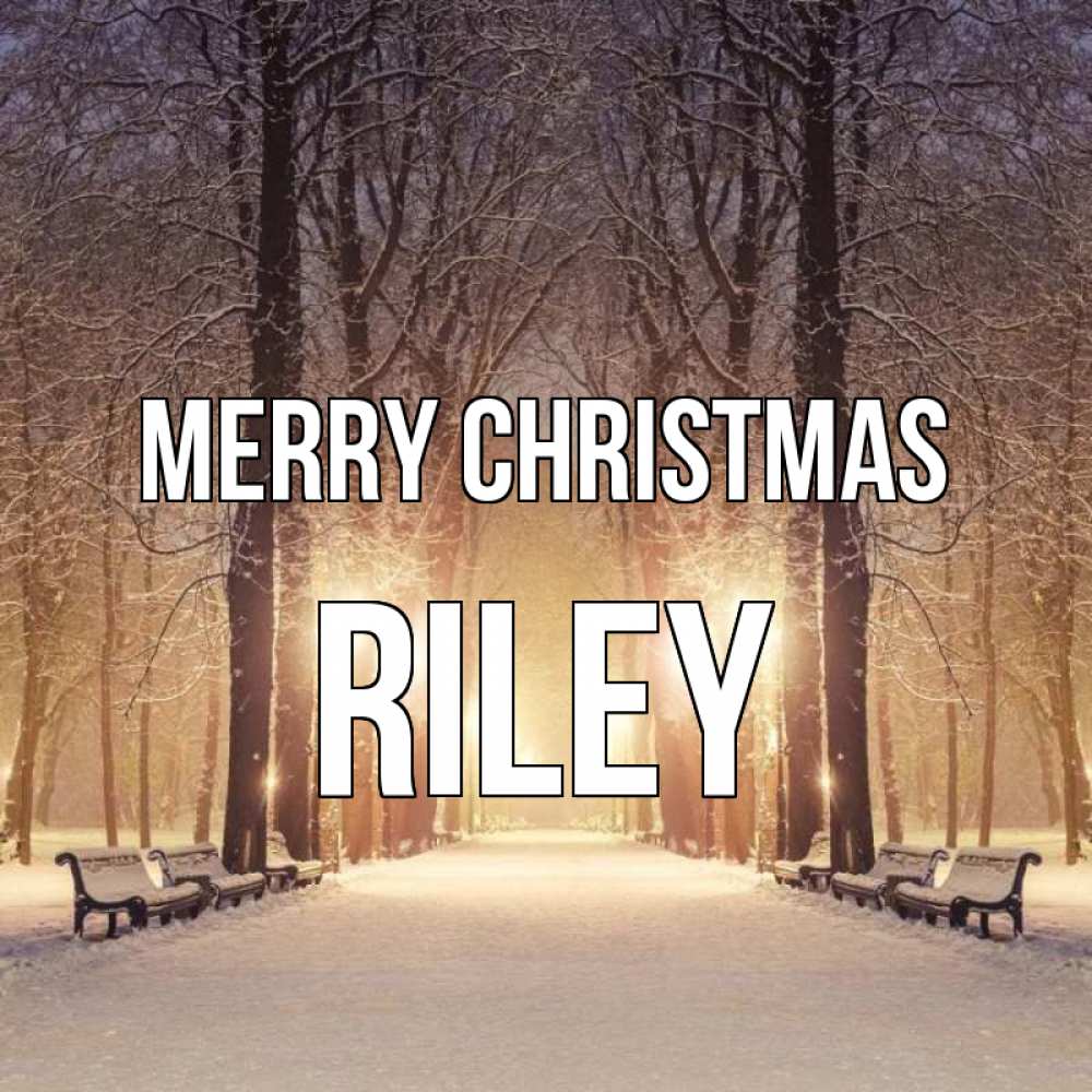 Greetings card с именем, Riley Merry Christmas зима, парк, фонарь, лес Greetings with text for free download 