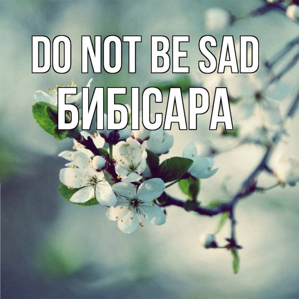 Greetings card с именем, БИБІСАРА Do not be sad яблоня в цвету 1 Greetings with text for free download 