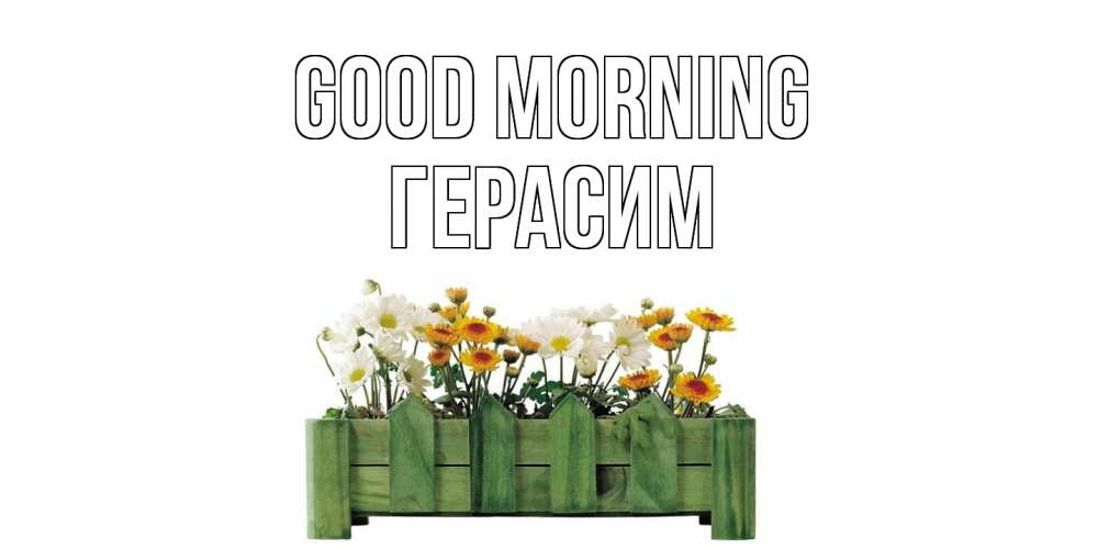 Greetings card с именем, Герасим Good morning цветы Greetings with text for free download 