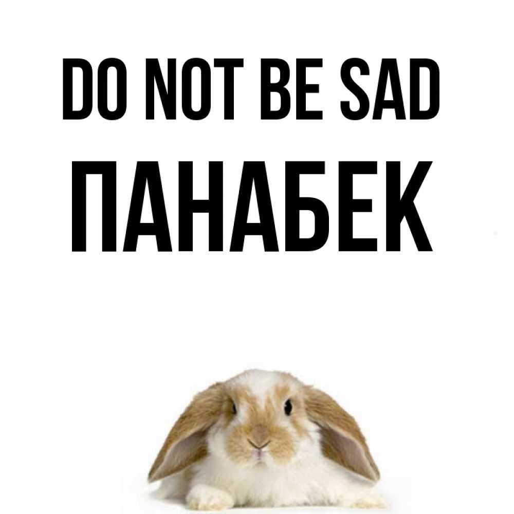 Greetings card с именем, ПАНАБЕК Do not be sad коричнево белый заяц с большими ушками Greetings with text for free download 