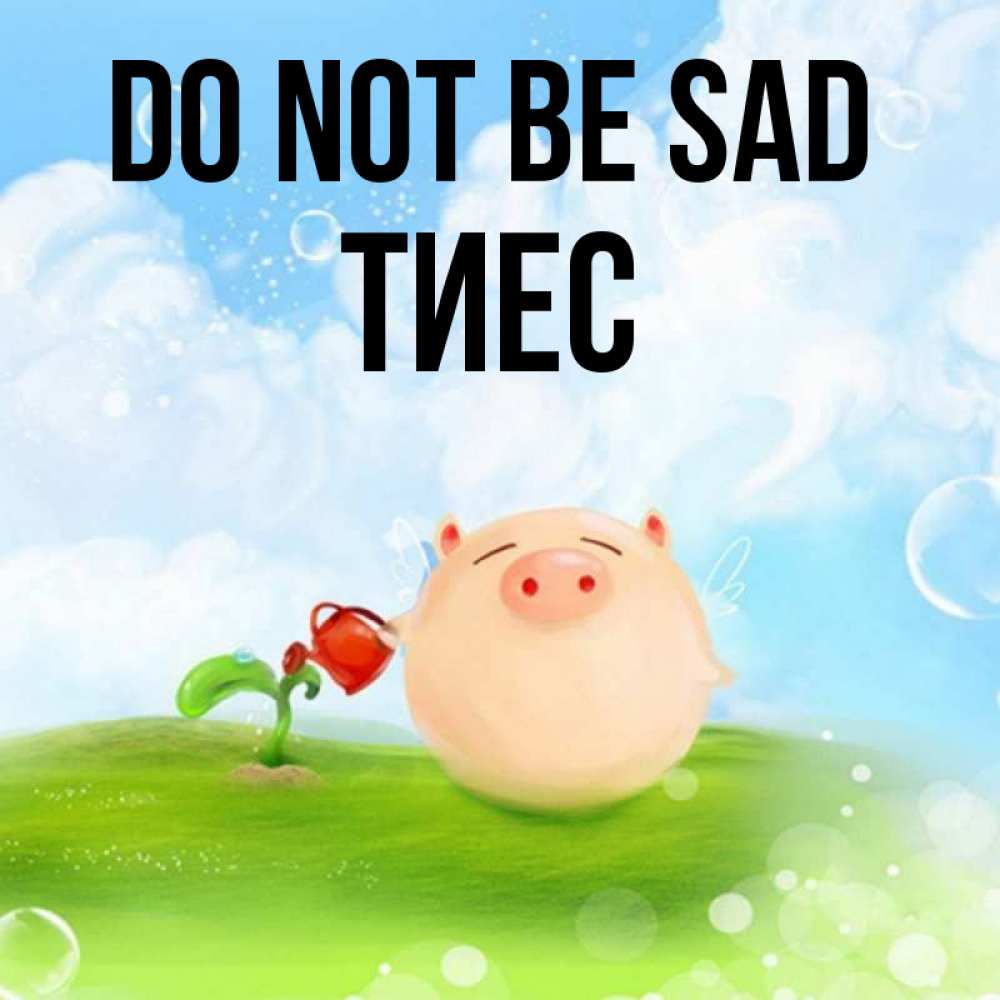 Greetings card с именем, ТИЕС Do not be sad поливает цветок порося Greetings with text for free download 