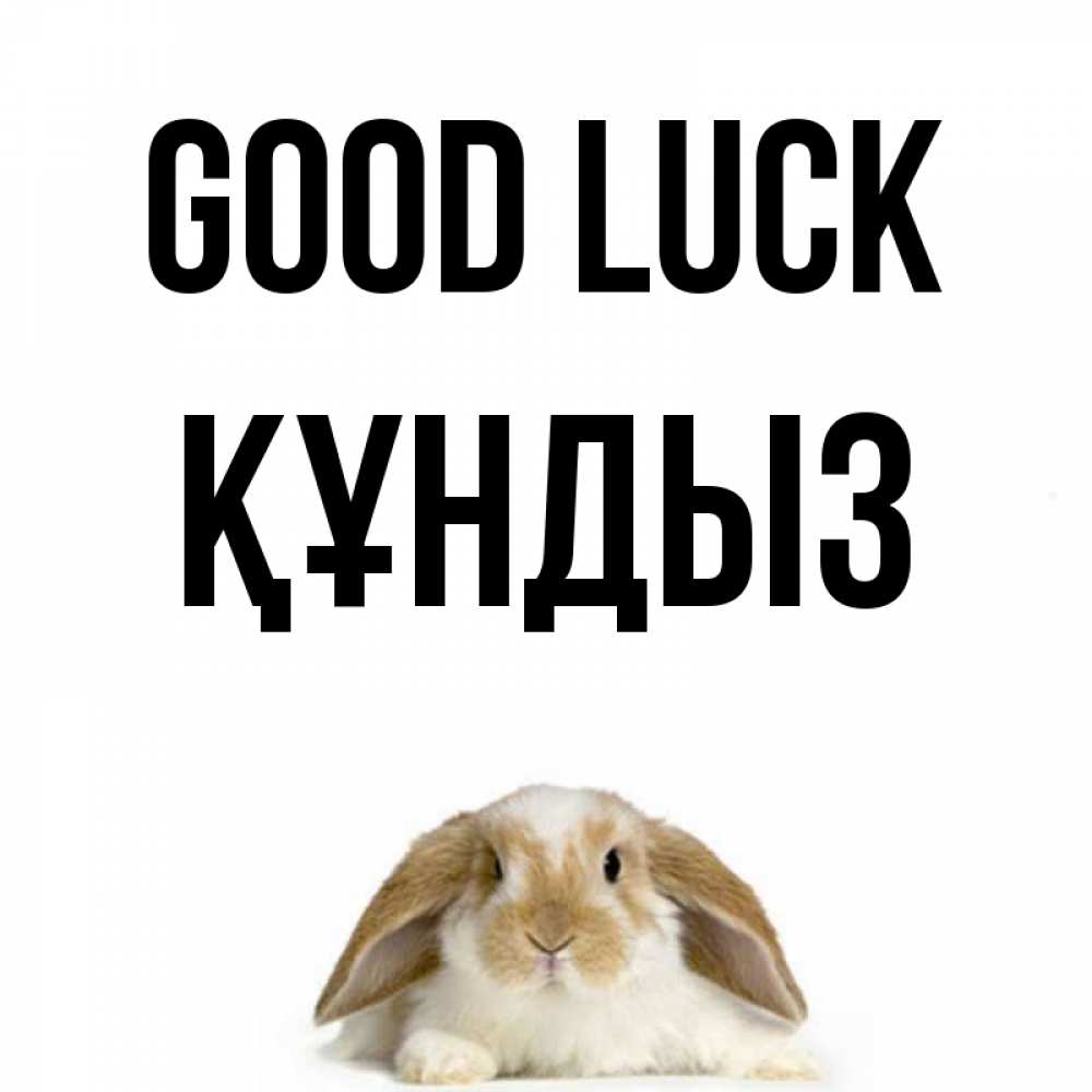 Greetings card с именем, ҚҰНДЫЗ Good luck открытки с произвольным текстом который можно вставить в открытку и создать ее самостоятельно бесплатно онлайн Greetings with text for free download 