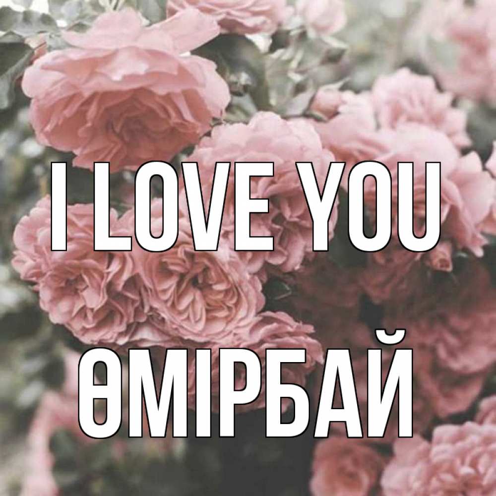 Greetings card с именем, ӨМІРБАЙ I love you розы 3 Greetings with text for free download 