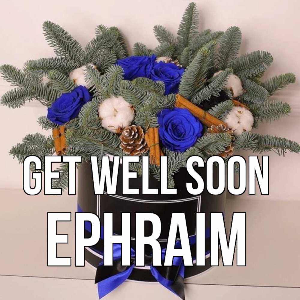 Greetings card с именем, Ephraim Get well soon короче кто то загрузил эти шишки Greetings with text for free download 