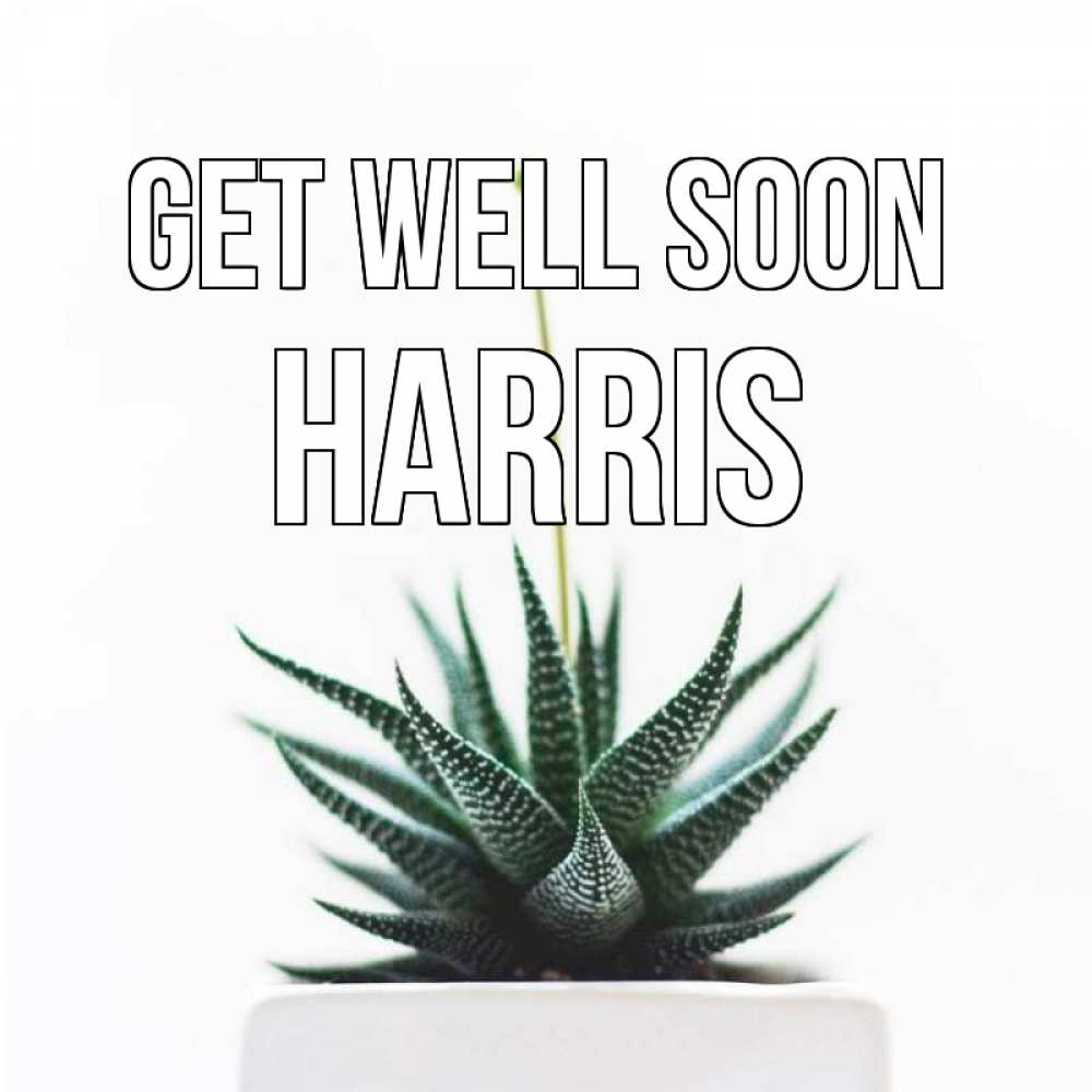 Greetings card с именем, Harris Get well soon короче это непонятная колючка Greetings with text for free download 