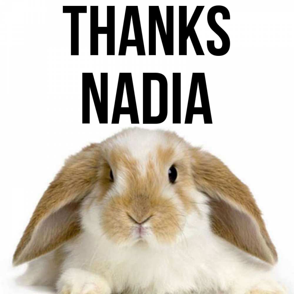 Greetings card с именем, Nadia Thanks коричнево белый заяц Greetings with text for free download 