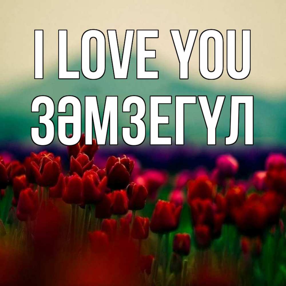 Greetings card с именем, ЗӘМЗЕГҮЛ I love you тюльпаны 4 Greetings with text for free download 