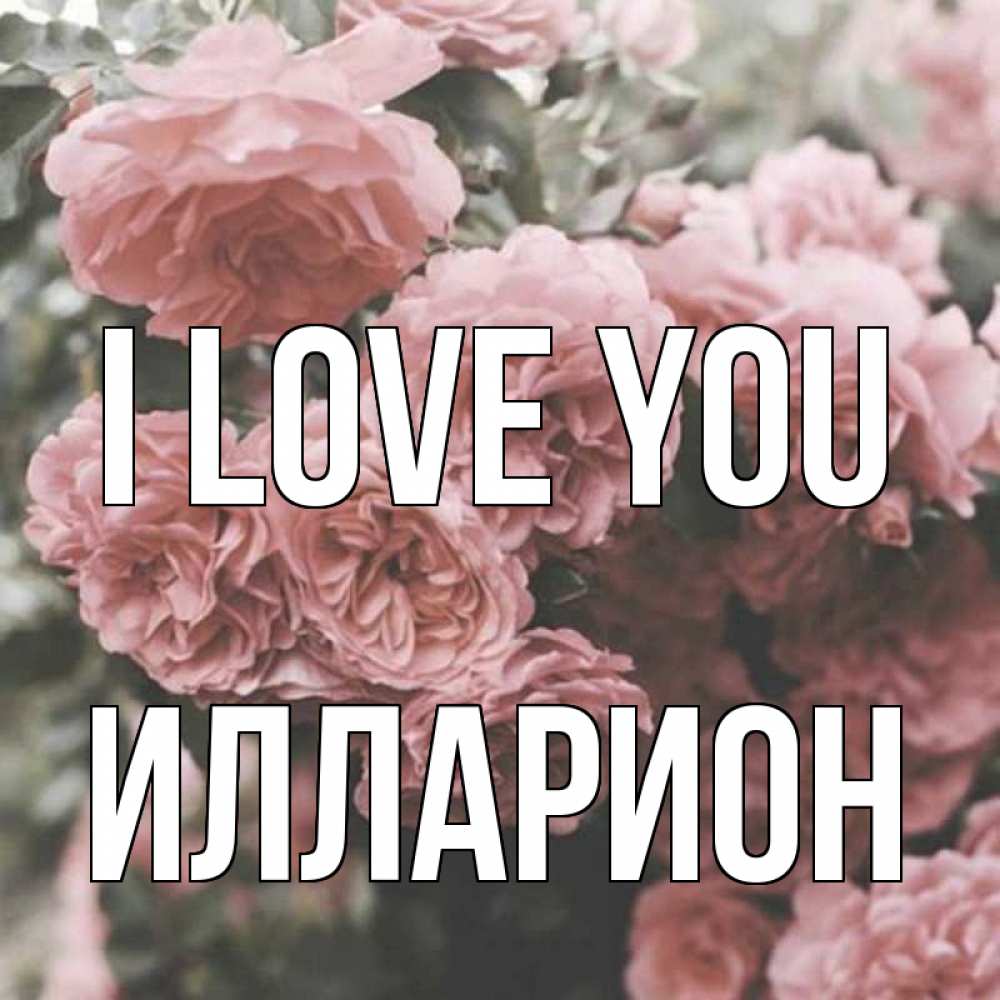 Greetings card с именем, Илларион I love you розы 3 Greetings with text for free download 