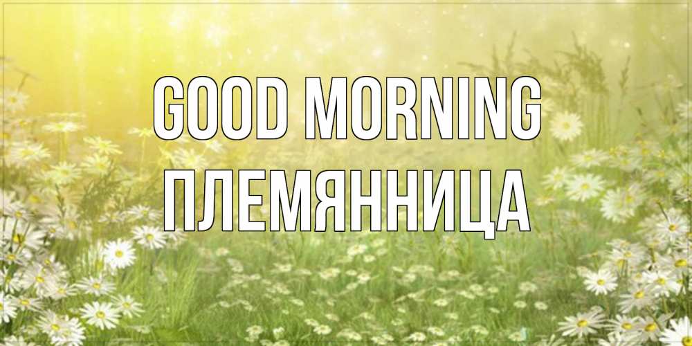 Greetings card с именем, Племянница Good morning доброе утро Greetings with text for free download 