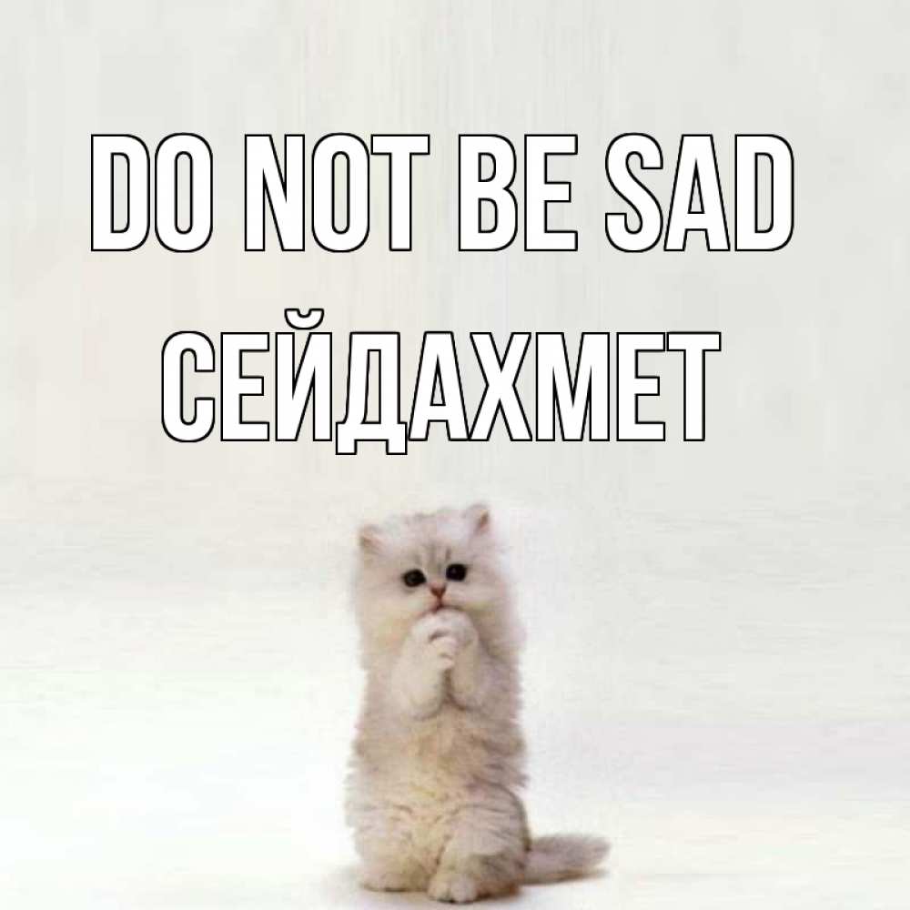 Greetings card с именем, СЕЙДАХМЕТ Do not be sad грустный кот Greetings with text for free download 