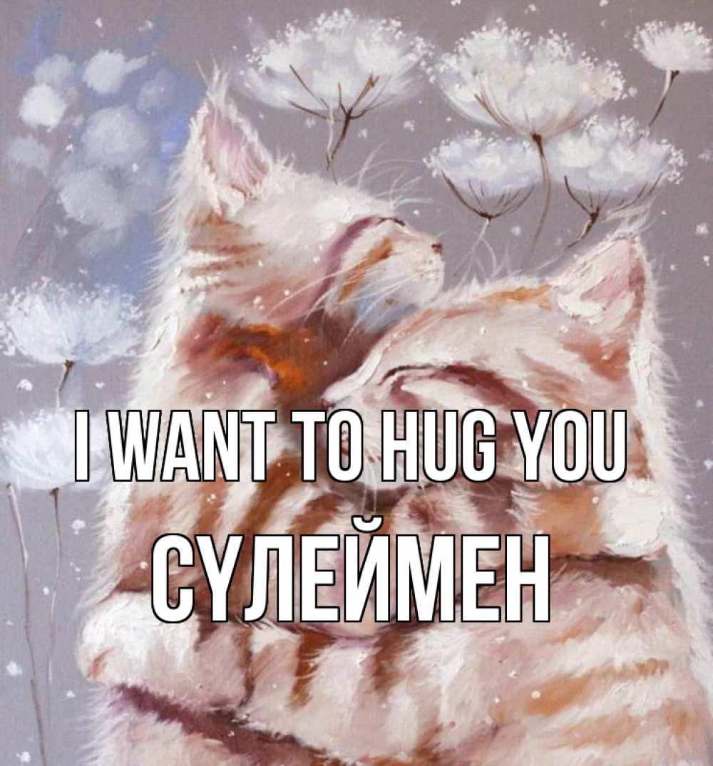 Greetings card с именем, СҮЛЕЙМЕН I want to hug you Море и горы Greetings with text for free download 
