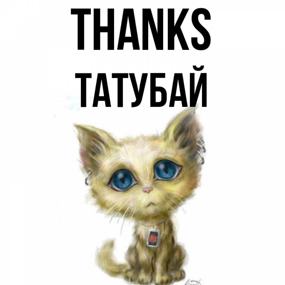 Greetings card с именем, ТАТУБАЙ Thanks рисованный кот благодарит вас Greetings with text for free download 