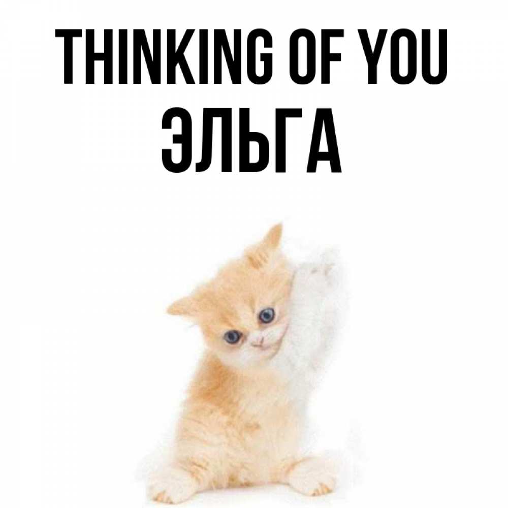 Greetings card с именем, Эльга Thinking of you зверушки и милота Greetings with text for free download 