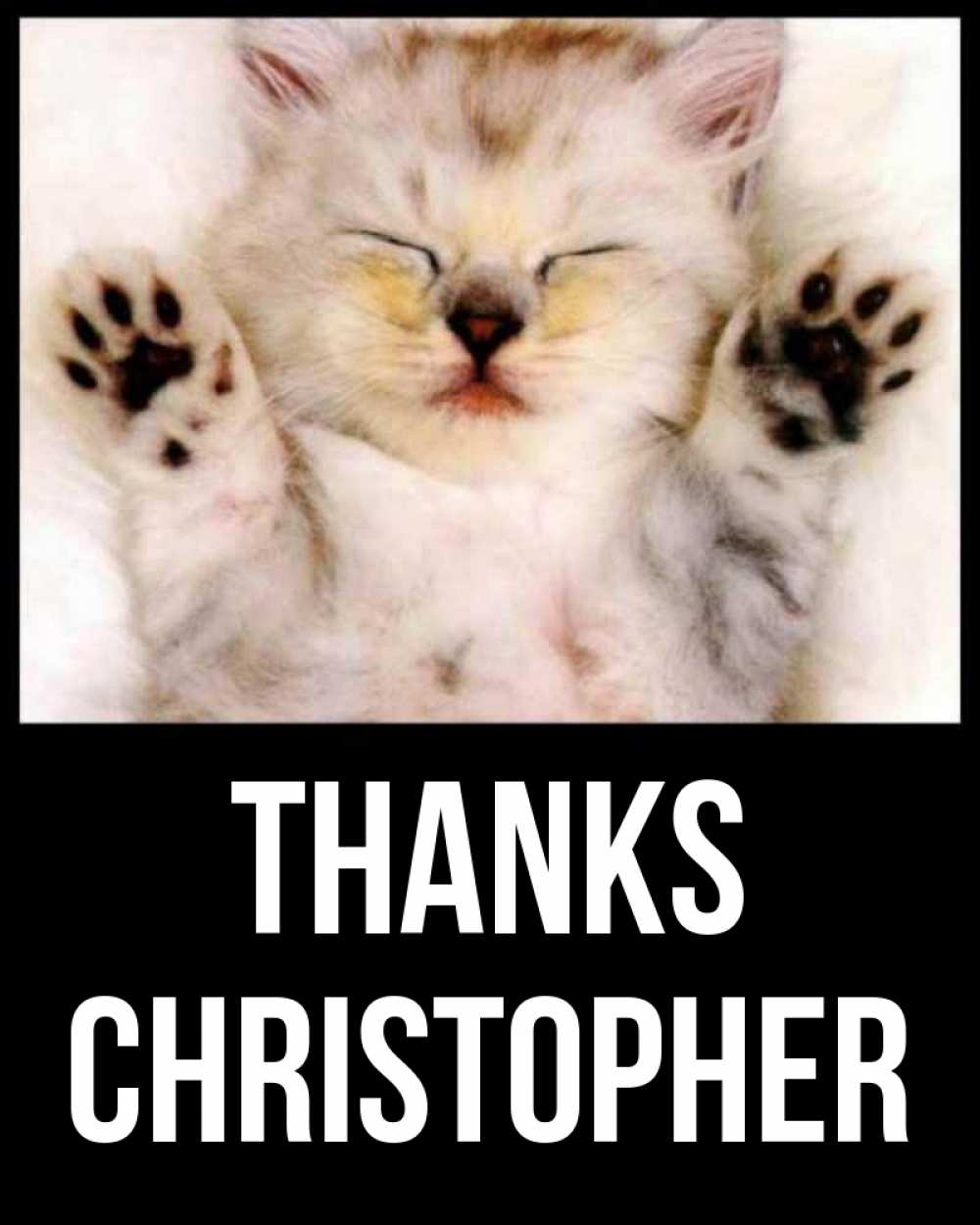 Greetings card с именем, Christopher Thanks маленький котенок Greetings with text for free download 