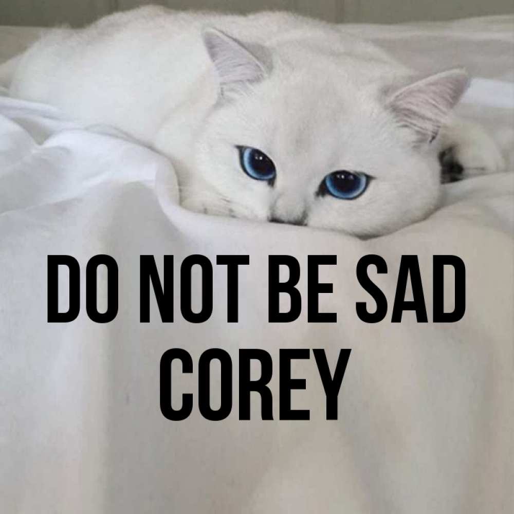 Greetings card с именем, Corey Do not be sad Голубоглазая кошка Greetings with text for free download 