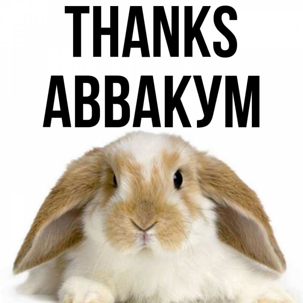 Greetings card с именем, Аввакум Thanks коричнево белый заяц Greetings with text for free download 