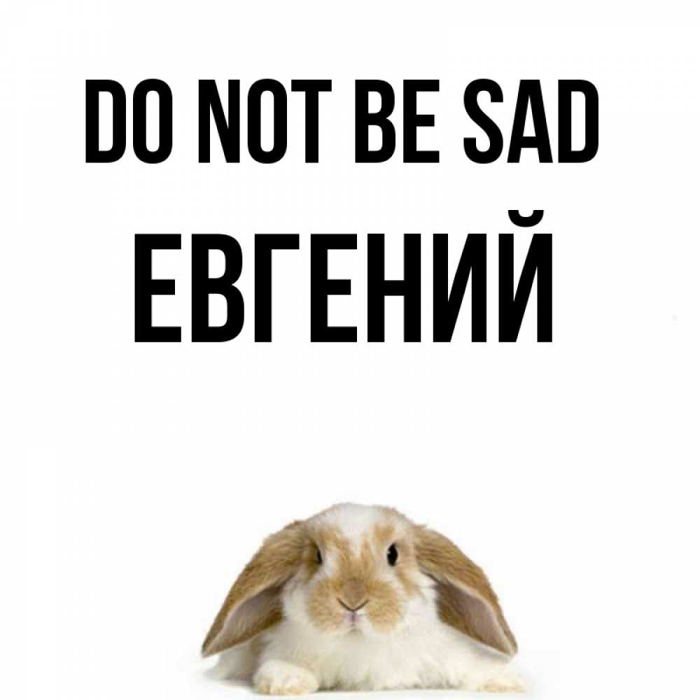 Greetings card с именем, Евгений Do not be sad коричнево белый заяц с большими ушками Greetings with text for free download 