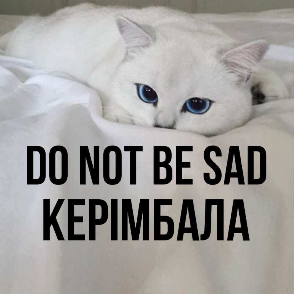 Greetings card с именем, КЕРІМБАЛА Do not be sad Голубоглазая кошка Greetings with text for free download 