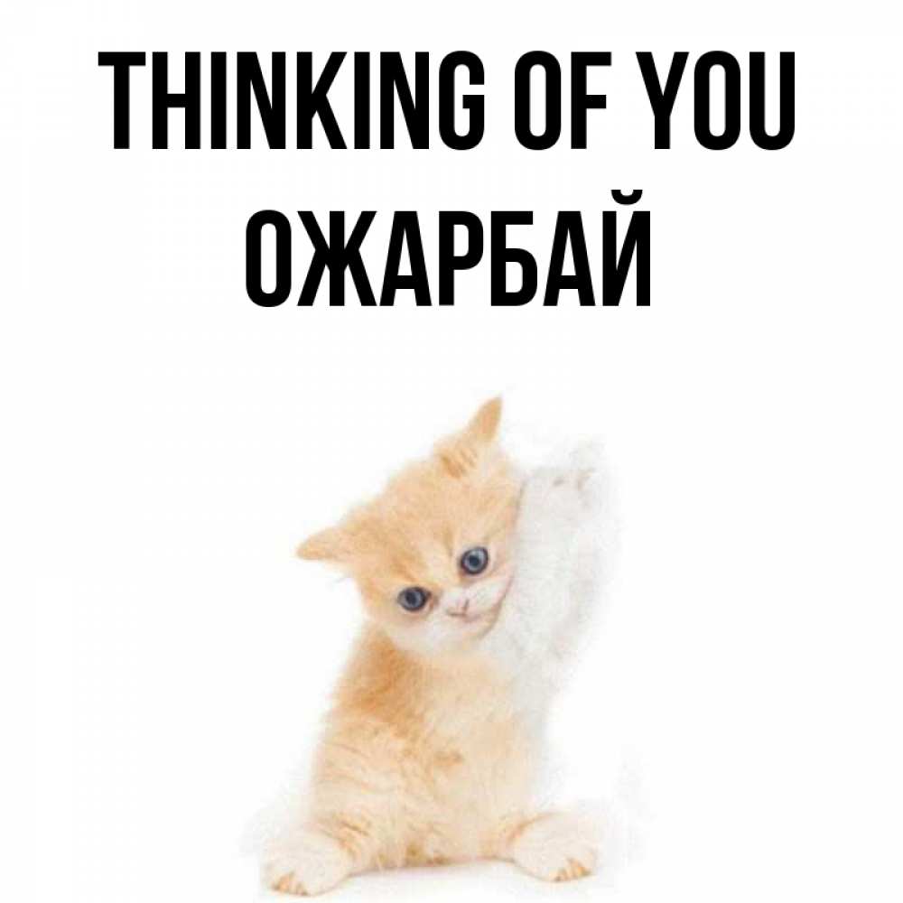 Greetings card с именем, ОЖАРБАЙ Thinking of you зверушки и милота Greetings with text for free download 
