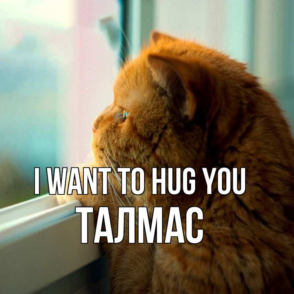 Greetings card с именем, ТАЛМАС I want to hug you большой огромный рыжий котяра Greetings with text for free download 