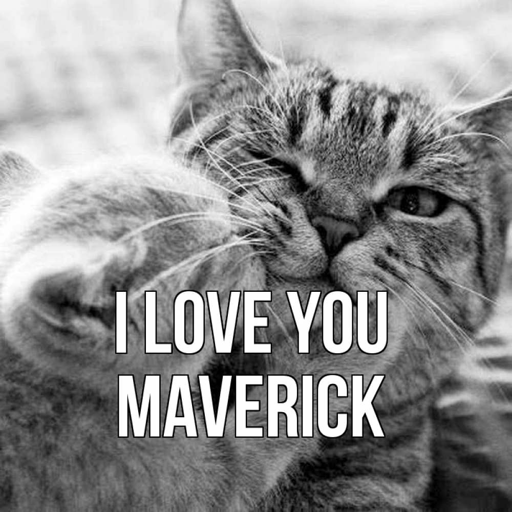 Greetings card с именем, Maverick I love you коты Greetings with text for free download 