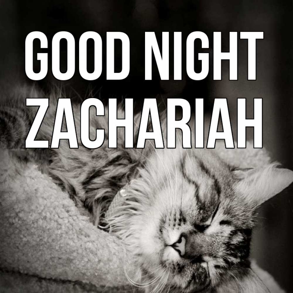 Greetings card с именем, Zachariah Good night котярик пушистый Greetings with text for free download 