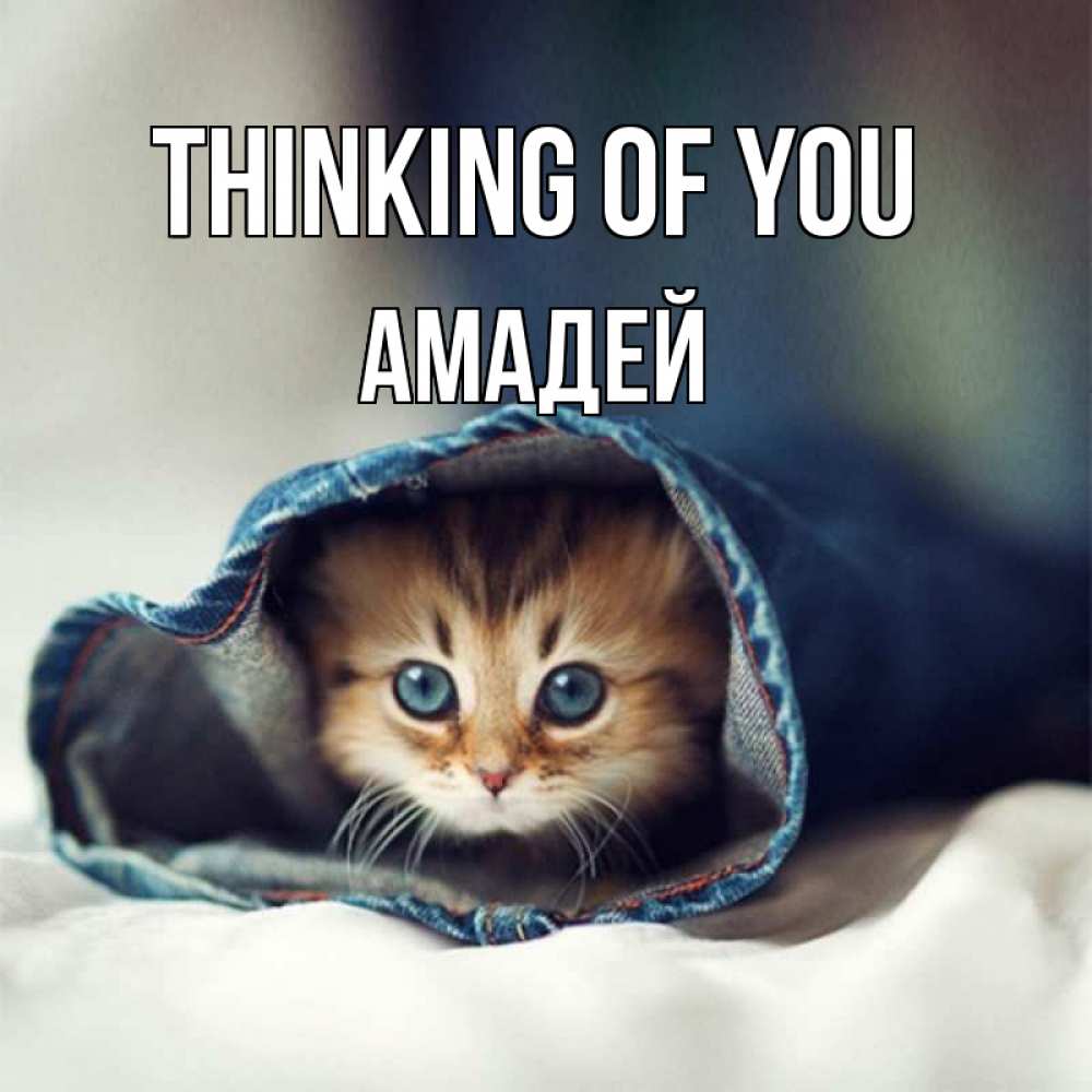 Greetings card с именем, Амадей Thinking of you мне без тебя плохо Greetings with text for free download 