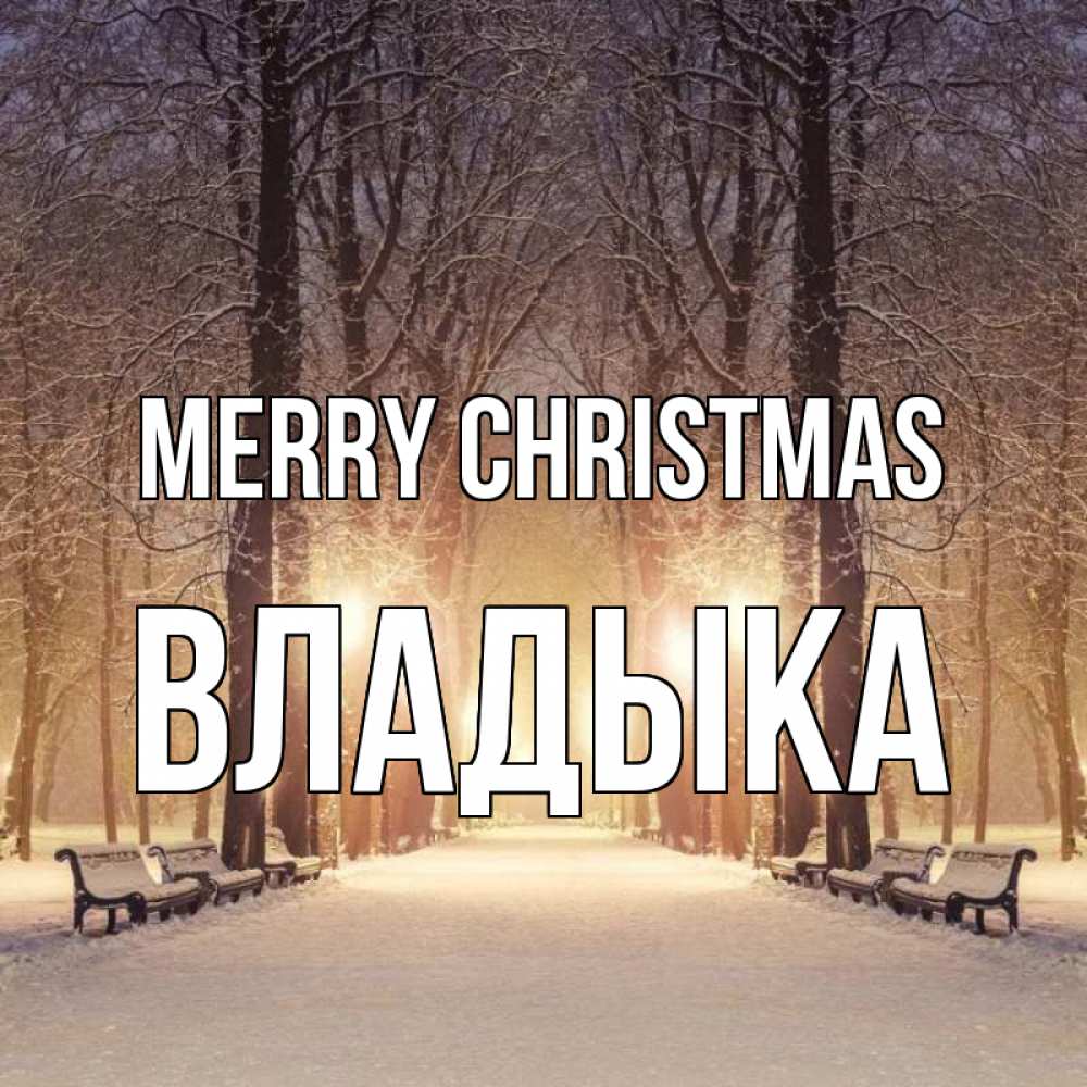 Greetings card с именем, Владыка Merry Christmas зима, парк, фонарь, лес Greetings with text for free download 