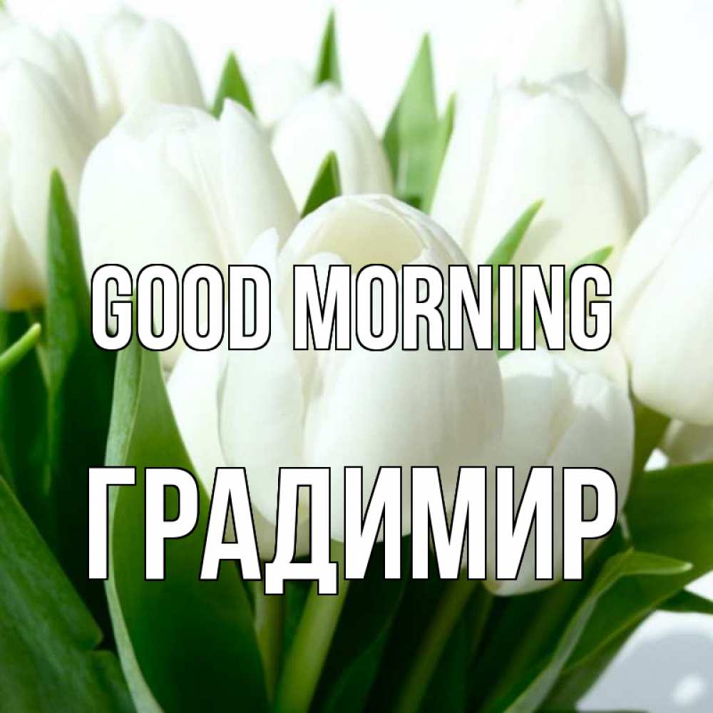 Greetings card с именем, Градимир Good morning открытки на каждый день по именам Greetings with text for free download 