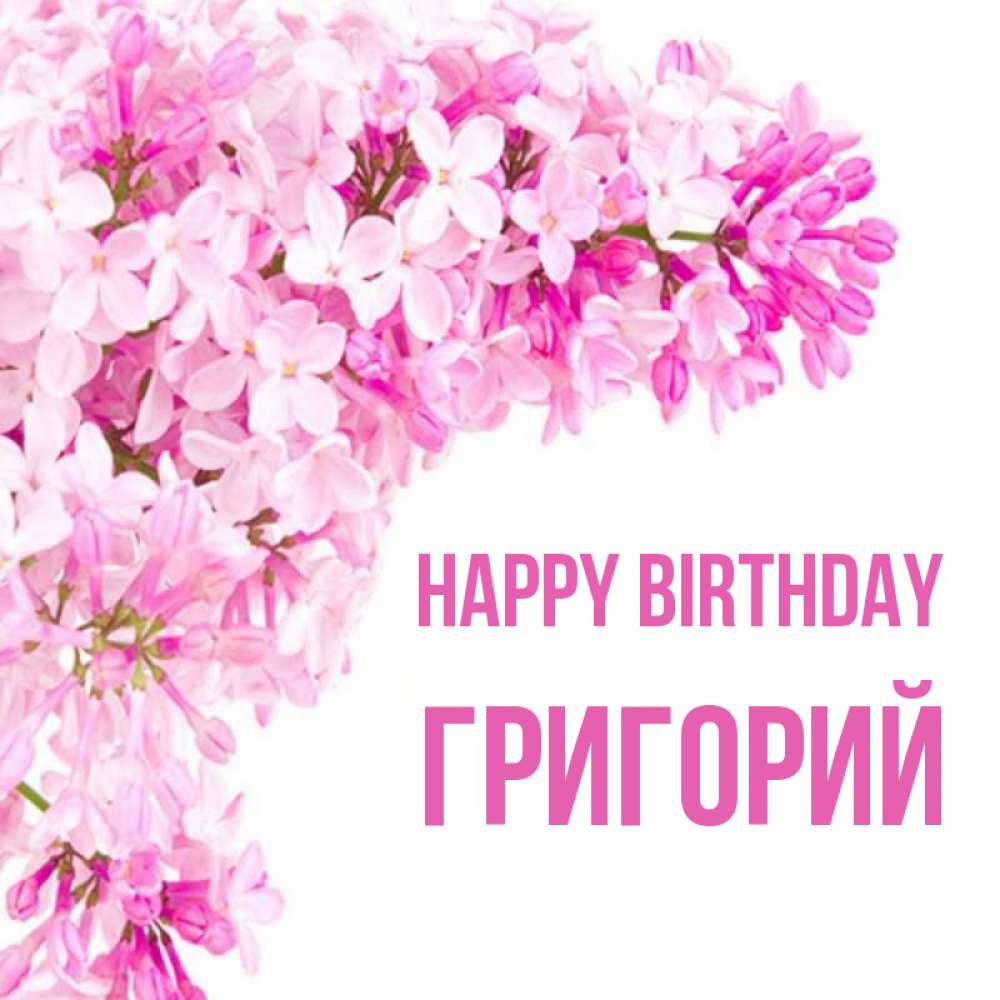 Greetings card с именем, Григорий Happy Birthday Сирень на белом фоне Greetings with text for free download 