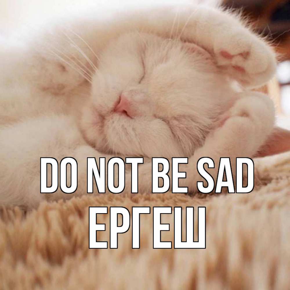 Greetings card с именем, Ергеш Do not be sad белый кот Greetings with text for free download 