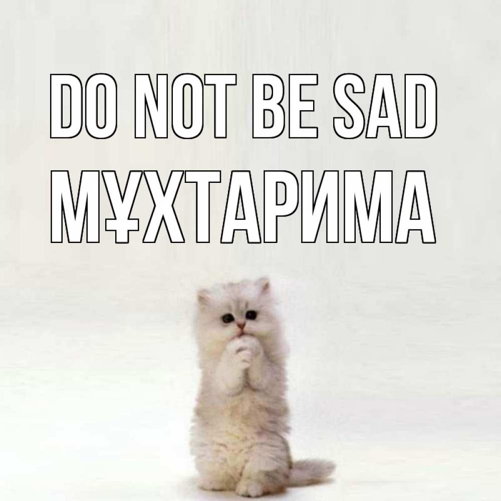 Greetings card с именем, МҰХТАРИМА Do not be sad грустный кот Greetings with text for free download 