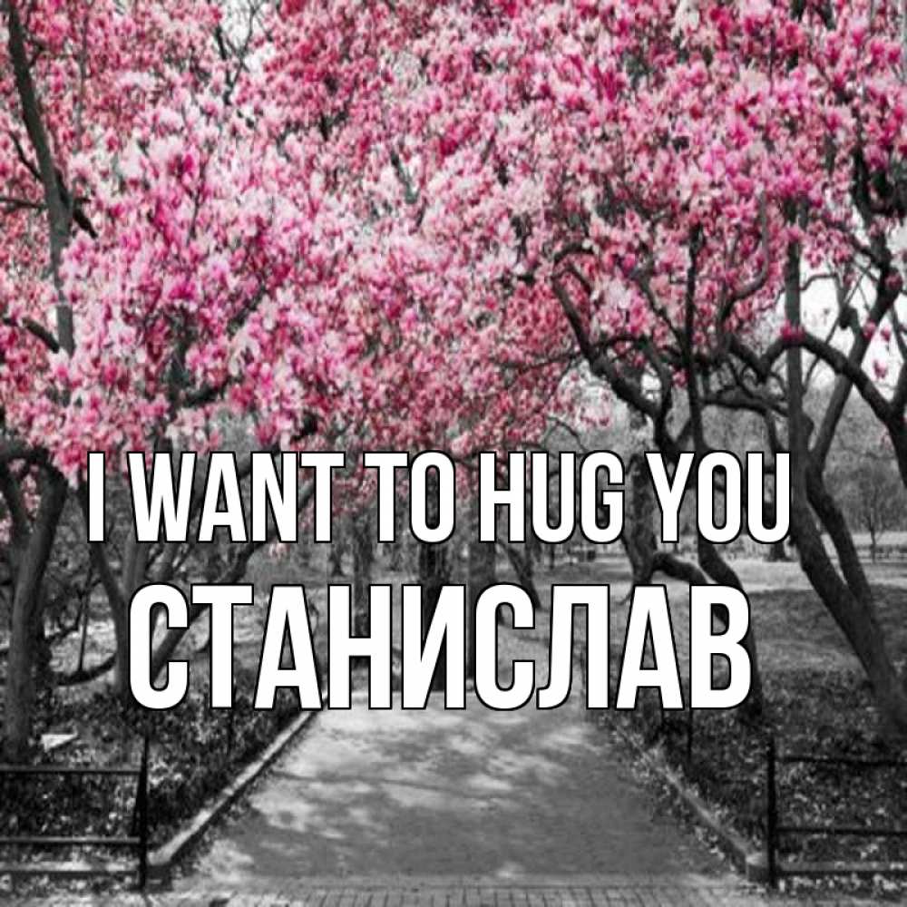 Greetings card с именем, Станислав I want to hug you обработанное фото Greetings with text for free download 