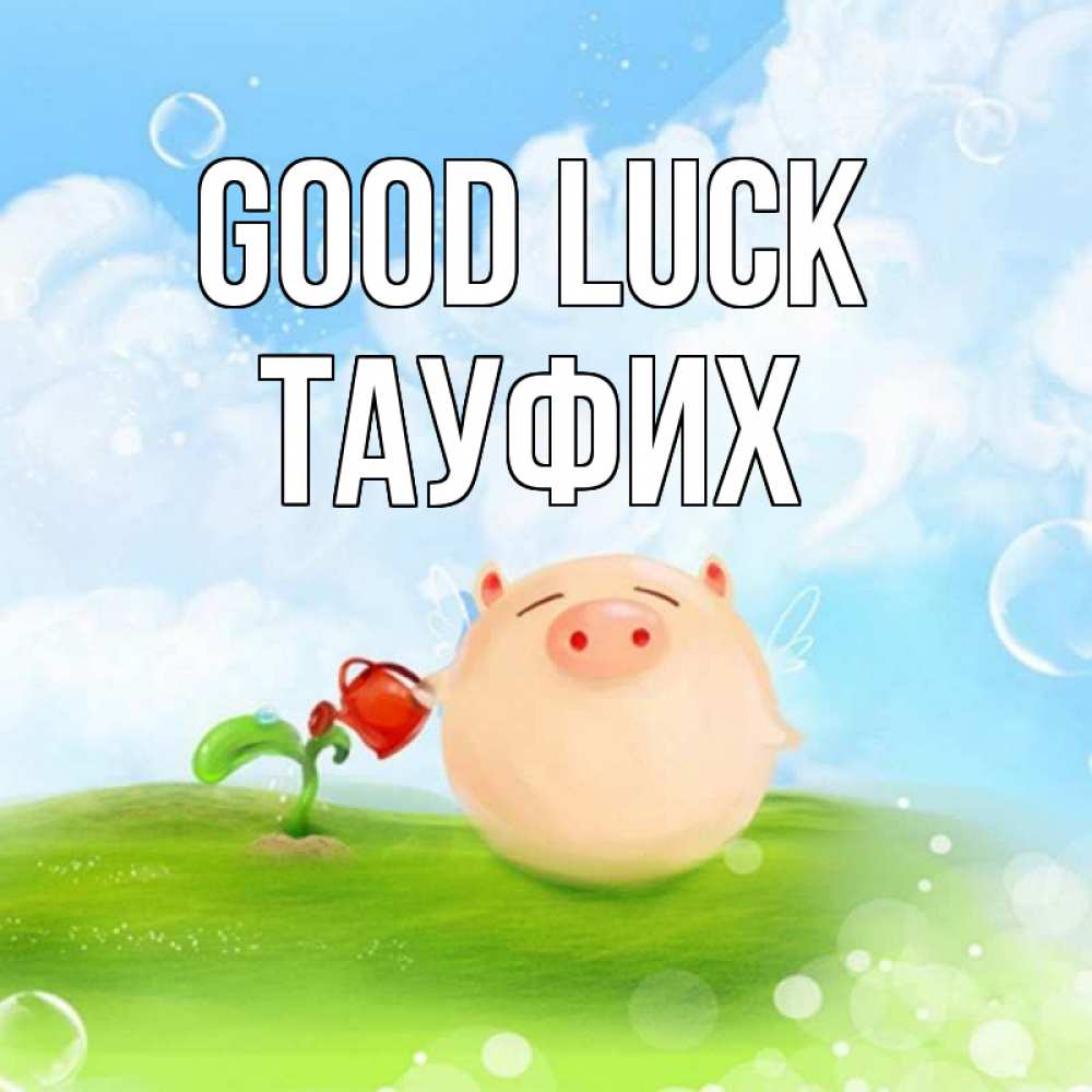 Greetings card с именем, ТАУФИХ Good luck поросенок поливает цветок. летнее настроение Greetings with text for free download 