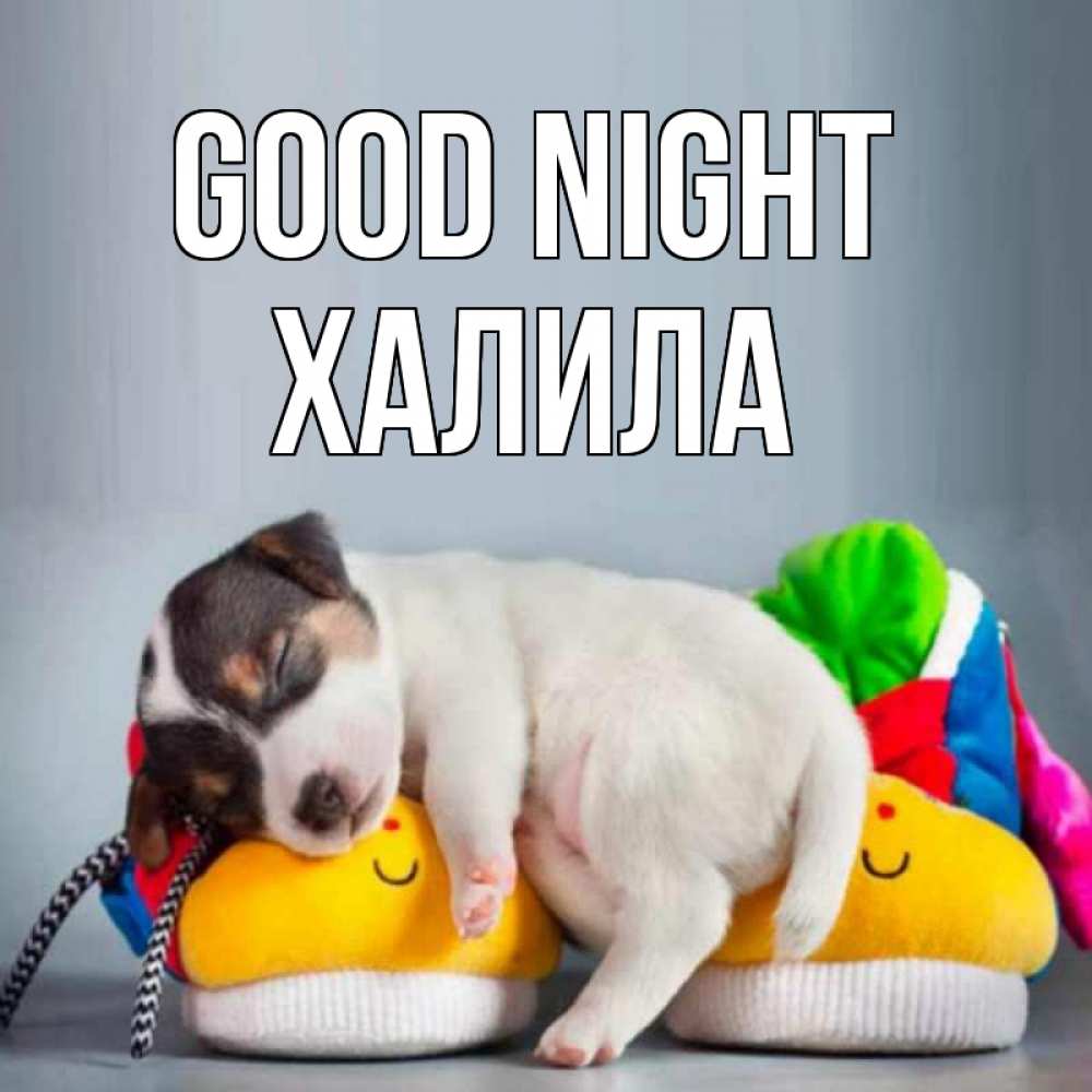 Greetings card с именем, ХАЛИЛА Good night собачка Greetings with text for free download 