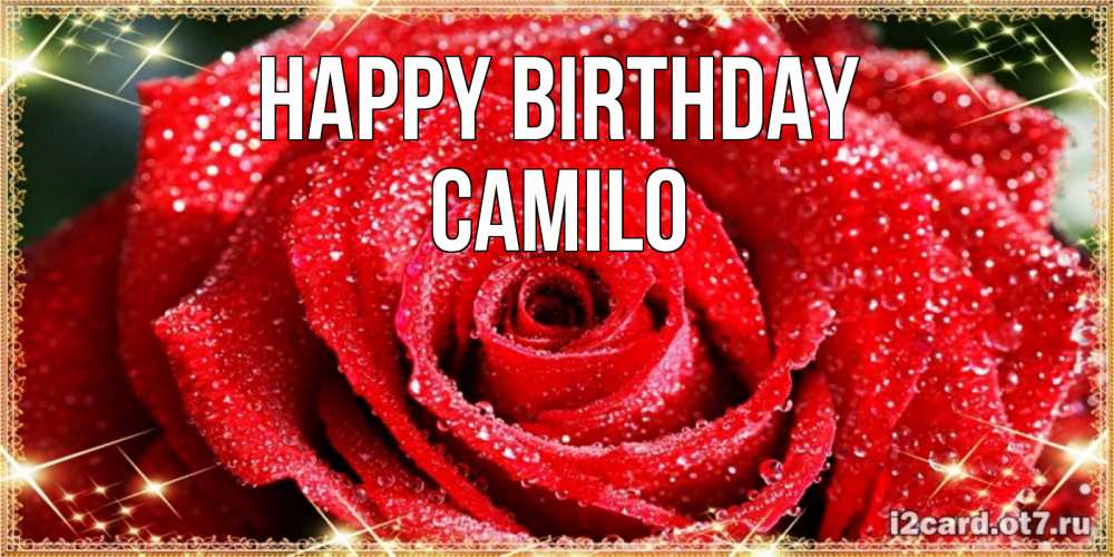 Greetings card с именем, Camilo Happy Birthday роса и роза. открытка с красивой розой Greetings with text for free download 