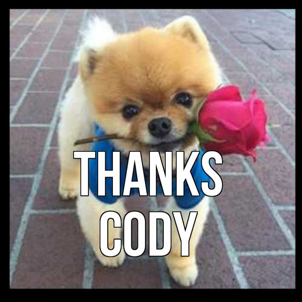 Greetings card с именем, Cody Thanks спасибо и дарю тебе цветок Greetings with text for free download 