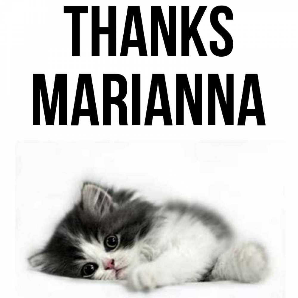 Greetings card с именем, Marianna Thanks черный и белый кот Greetings with text for free download 