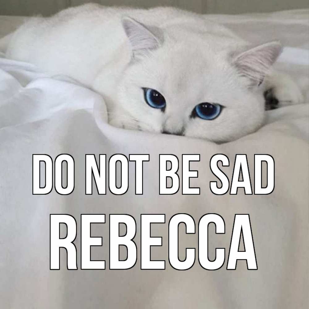 Greetings card с именем, Rebecca Do not be sad белый кот с голубыми глазами на белоснежной кровати Greetings with text for free download 