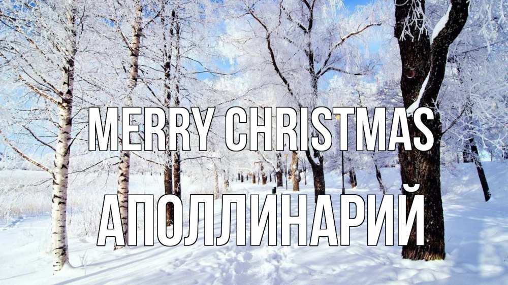 Greetings card с именем, Аполлинарий Merry Christmas зимний лес Greetings with text for free download 