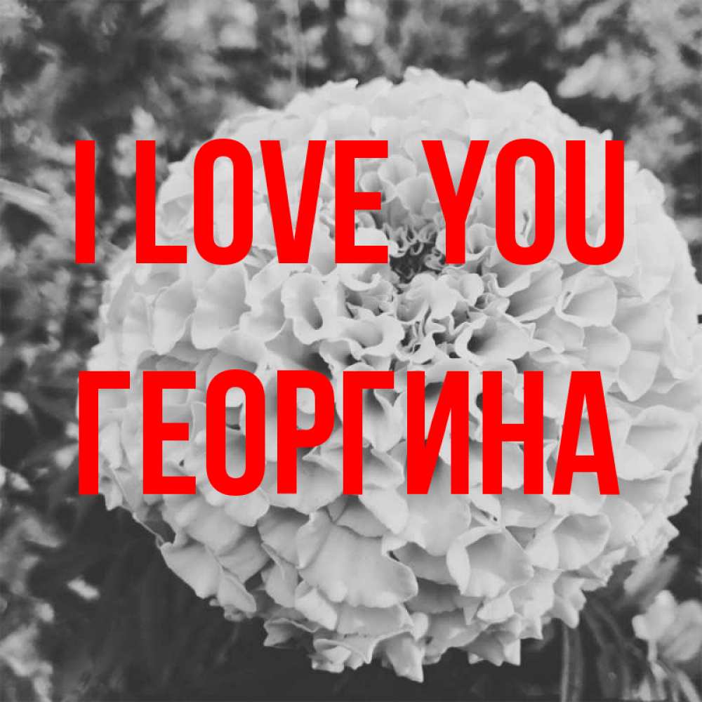 Greetings card с именем, Георгина I love you подпись Greetings with text for free download 