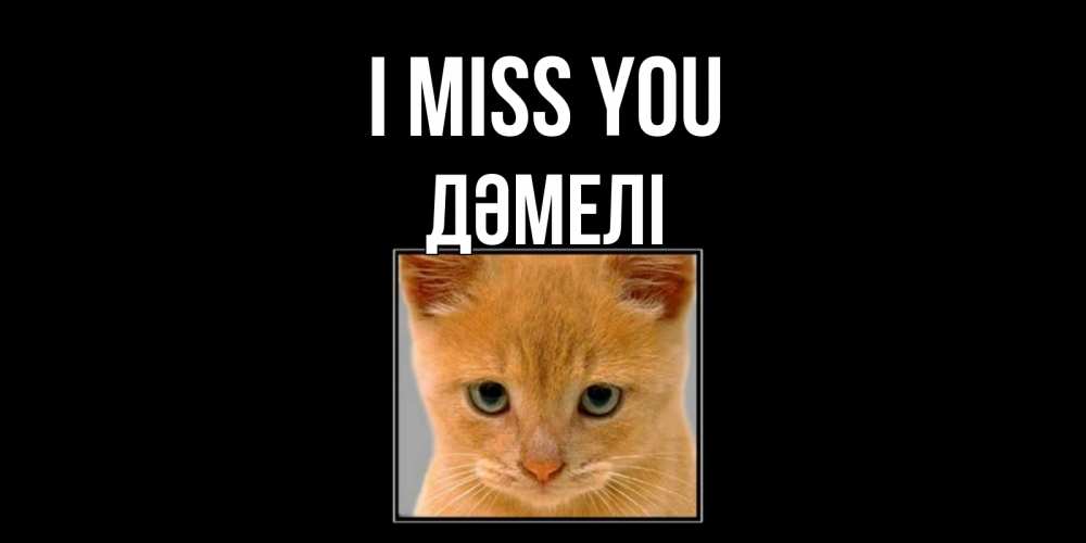 Greetings card с именем, ДӘМЕЛІ I miss you открытки рыжий котенок скучает по тебе Greetings with text for free download 