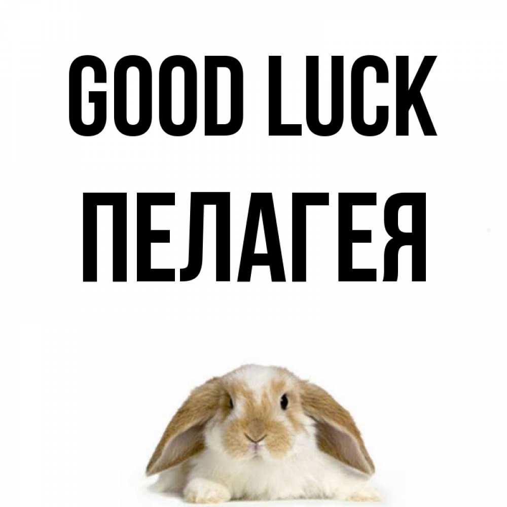 Greetings card с именем, Пелагея Good luck открытки с произвольным текстом который можно вставить в открытку и создать ее самостоятельно бесплатно онлайн Greetings with text for free download 