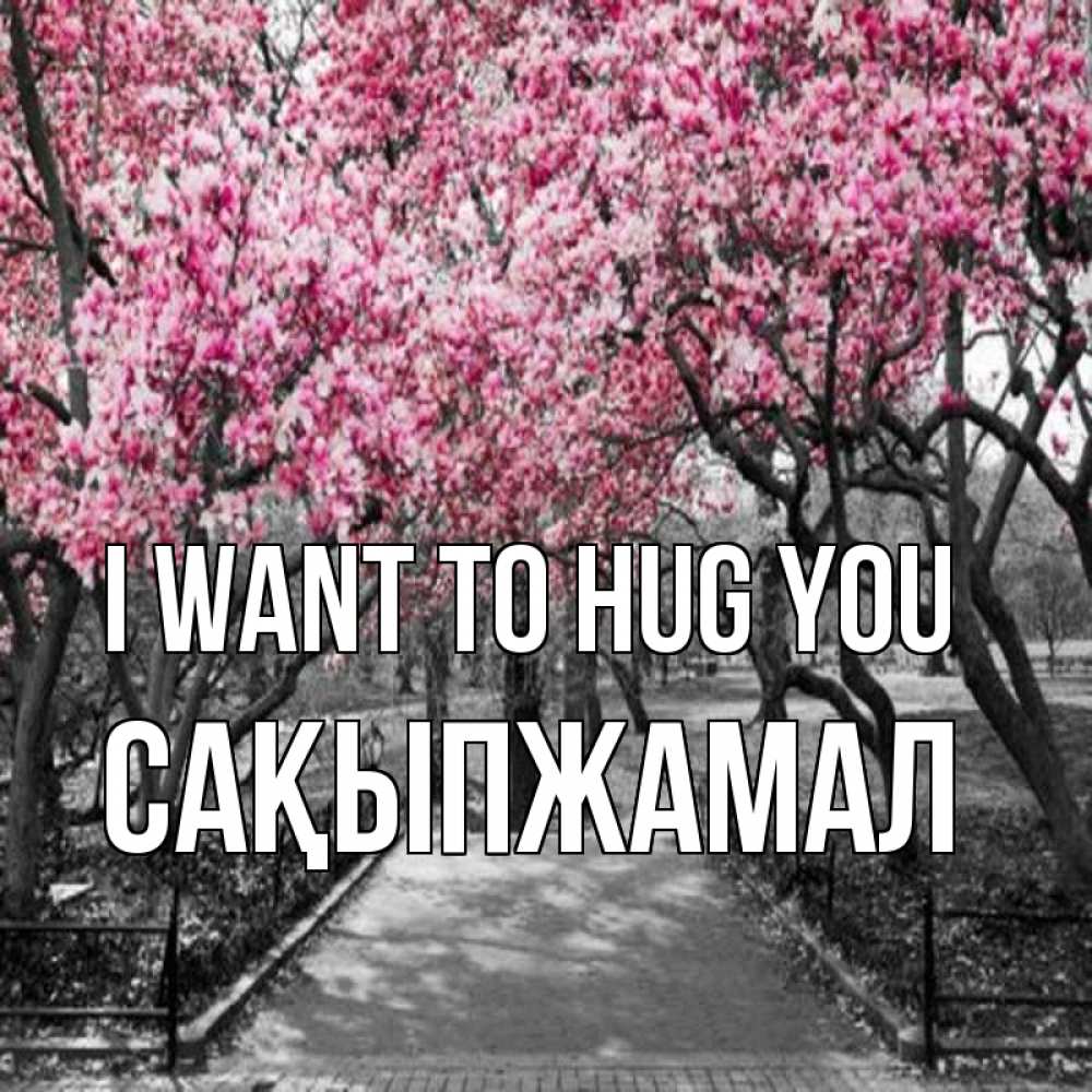 Greetings card с именем, САҚЫПЖАМАЛ I want to hug you обработанное фото Greetings with text for free download 